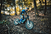 Вид 3